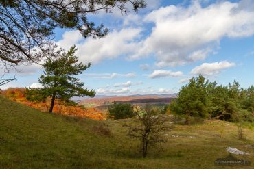Fotokurs-Wanderwoche im Harz - Frühjahr auf dem Karstwanderweg