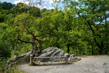 Fotowanderung durch das Bodetal