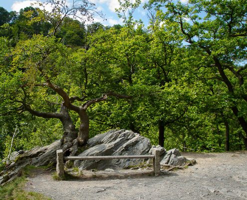 Fotowanderung durch das Bodetal