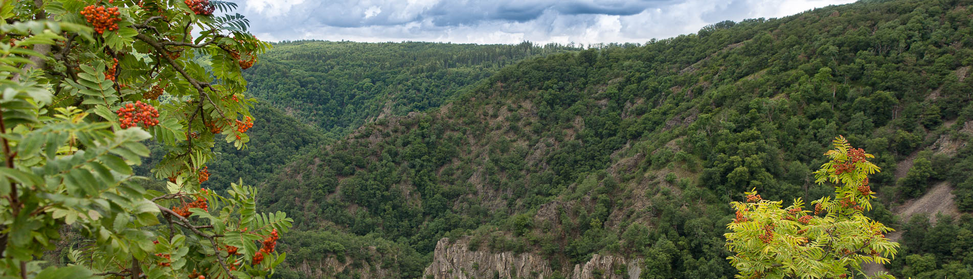 Fotowanderung durch das Bodetal