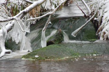 Winter-Fotowanderung im Oberharz © Insa B.