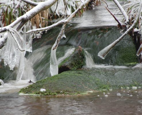 Winter-Fotowanderung im Oberharz © Insa B.