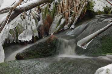 Winter-Fotowanderung im Oberharz © Insa B.