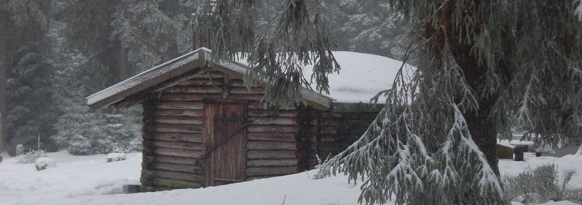 Winter-Fotowanderung im Oberharz © Insa B.
