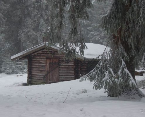 Winter-Fotowanderung im Oberharz © Insa B.
