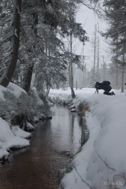 Winter-Fotowanderung im Oberharz © Insa B.