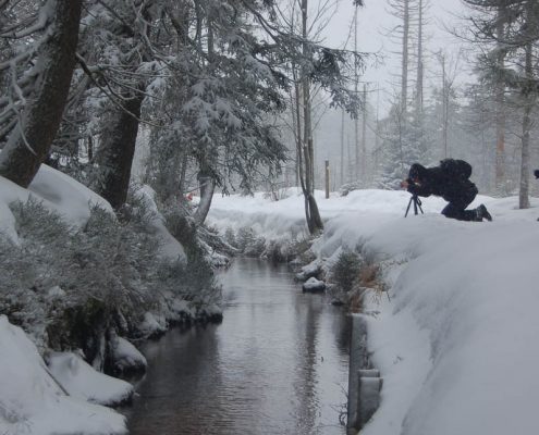 Winter-Fotowanderung im Oberharz © Insa B.