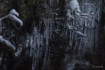 Winter-Fotowanderung im Oberharz © Insa B.