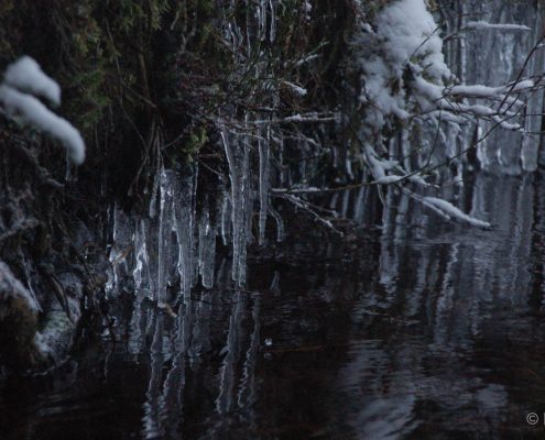 Winter-Fotowanderung im Oberharz © Insa B.