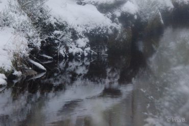 Winter-Fotowanderung im Oberharz © Insa B.