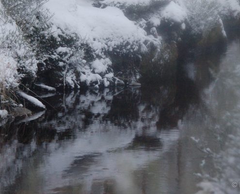 Winter-Fotowanderung im Oberharz © Insa B.