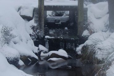 Winter-Fotowanderung im Oberharz © Insa B.