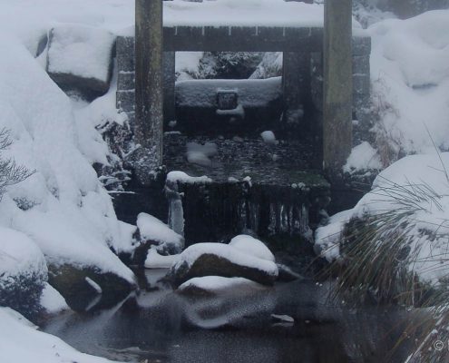 Winter-Fotowanderung im Oberharz © Insa B.