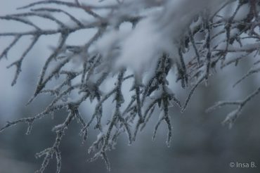 Winter-Fotowanderung im Oberharz © Insa B.