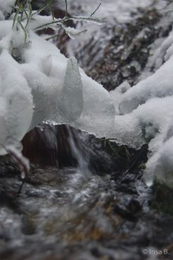 Winter-Fotowanderung im Oberharz © Insa B.