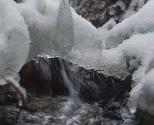 Winter-Fotowanderung im Oberharz © Insa B.