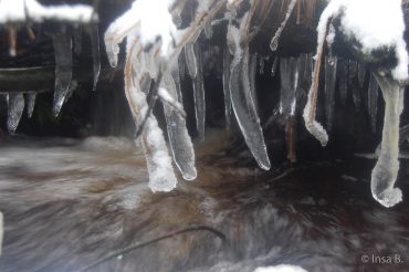 Winter-Fotowanderung im Oberharz © Insa B.
