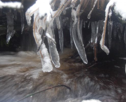 Winter-Fotowanderung im Oberharz © Insa B.