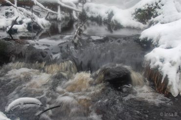 Winter-Fotowanderung im Oberharz © Insa B.