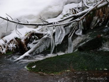 Winter-Fotowanderung im Oberharz © Sebastian G.