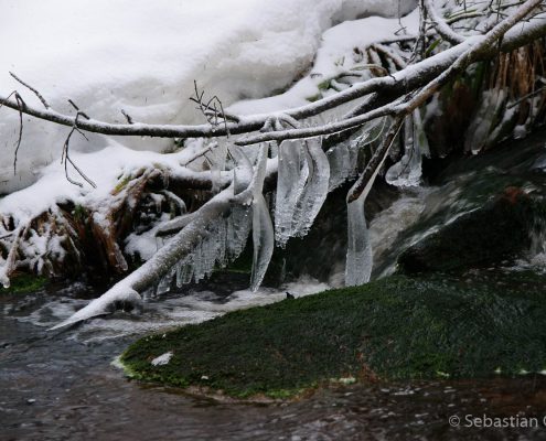 Winter-Fotowanderung im Oberharz © Sebastian G.