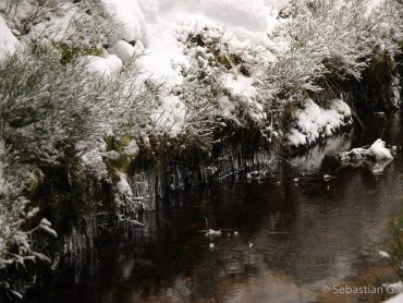 Winter-Fotowanderung im Oberharz © Sebastian G.