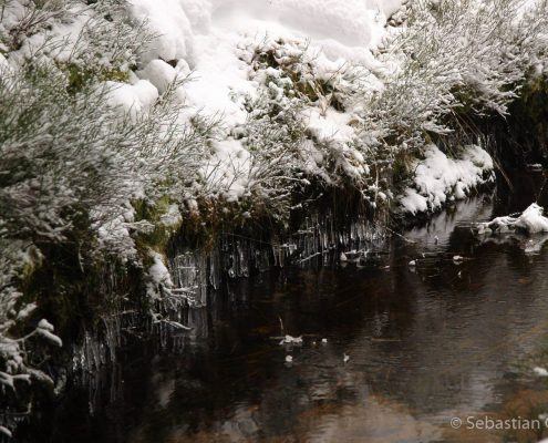Winter-Fotowanderung im Oberharz © Sebastian G.