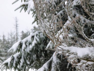 Winter-Fotowanderung im Oberharz © Sebastian G.