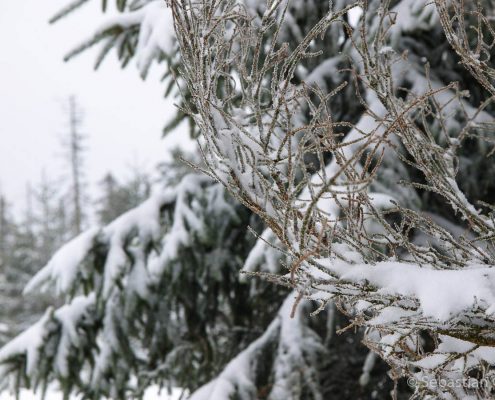 Winter-Fotowanderung im Oberharz © Sebastian G.