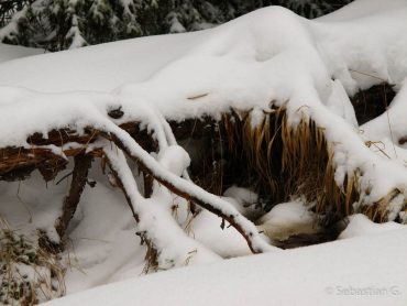 Winter-Fotowanderung im Oberharz © Sebastian G.
