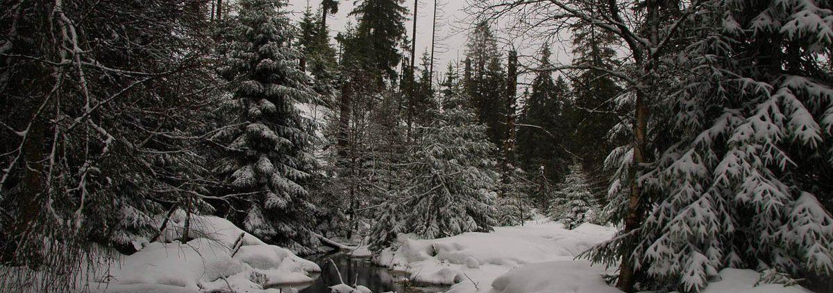 Winter-Fotowanderung im Oberharz © Sebastian G.