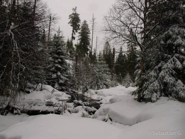 Winter-Fotowanderung im Oberharz © Sebastian G.