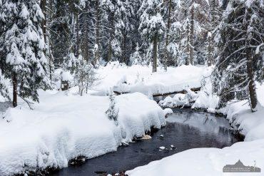 am Rotenbeek im Oberharz