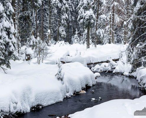 am Rotenbeek im Oberharz