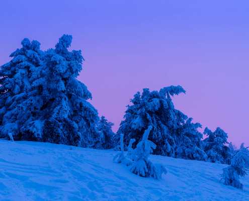 Blaue Stunde auf dem Brocken