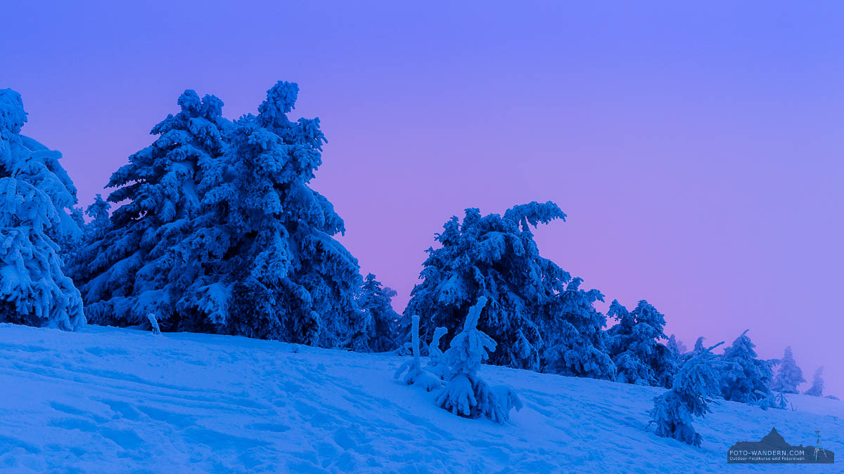 Blaue Stunde auf dem Brocken