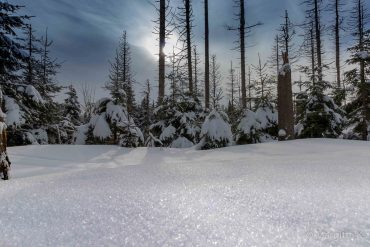 Fotowanderung zum Sonnenuntergang auf den Achtermann © Margitta K.