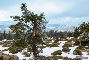Fotoworkshop-Wochenende Harz-Winter