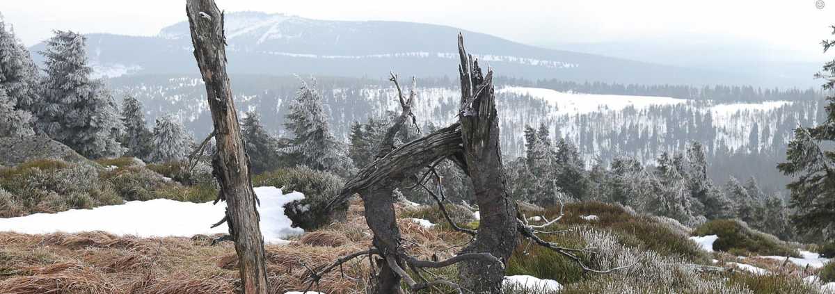 Fotoworkshop-Wochenende Harz-Winter 2018