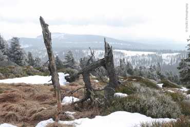 Fotoworkshop-Wochenende Harz-Winter 2018
