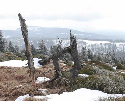 Fotoworkshop-Wochenende Harz-Winter 2018