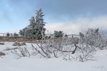 Fotoworkshop-Wochenende Harz-Winter 2018 © Rudolf L.
