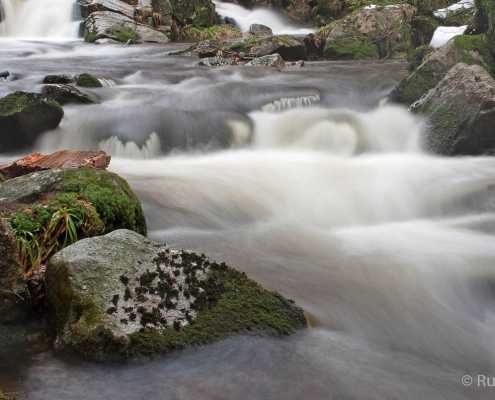 Fotoworkshop-Wochenende Harz-Winter 2018 © Rudolf L. Fotoworkshop-Wochenende Harz-Winter 2018 © Rudolf L.