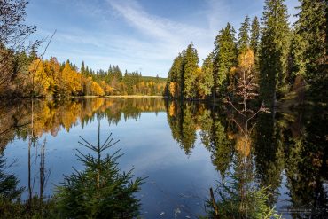 Fotowanderung auf dem Naturmythenpfad im Nationapark Harz bei Braunlage