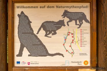 Fotowanderung auf dem Naturmythenpfad im Nationapark Harz bei Braunlage