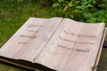 Fotowanderung auf dem Naturmythenpfad im Nationapark Harz bei Braunlage