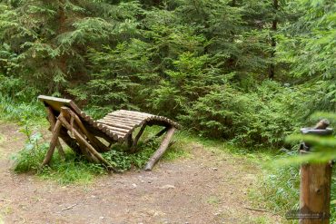 Fotowanderung auf dem Naturmythenpfad im Nationapark Harz bei Braunlage
