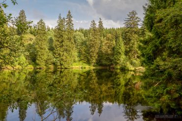Fotowanderung auf dem Naturmythenpfad im Nationapark Harz bei Braunlage