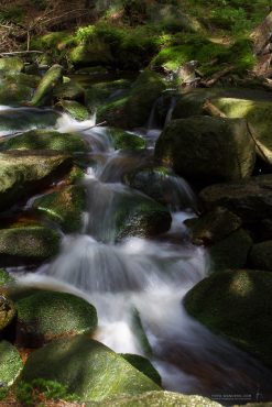 Fotowanderung auf den Brocken