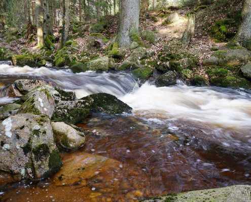 Einzelcoaching Langzeitbelichtung im Harz © Anke W. Einzelcoaching Langzeitbelichtung im Harz © Anke W.